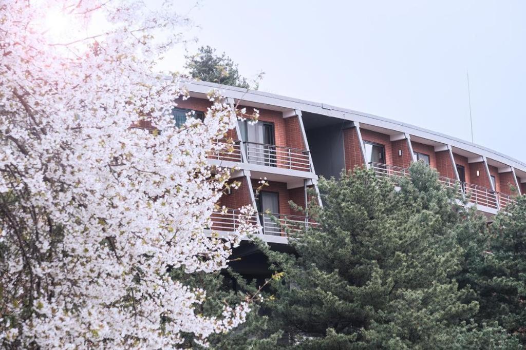 Walkerhill Douglas House (adults Only) Khách sạn 5*