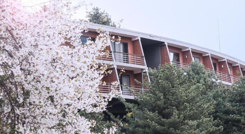 Khách sạn Walkerhill Douglas House (adults Only) Seoul